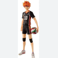 Haikyu - Hinata Master Stars Piece