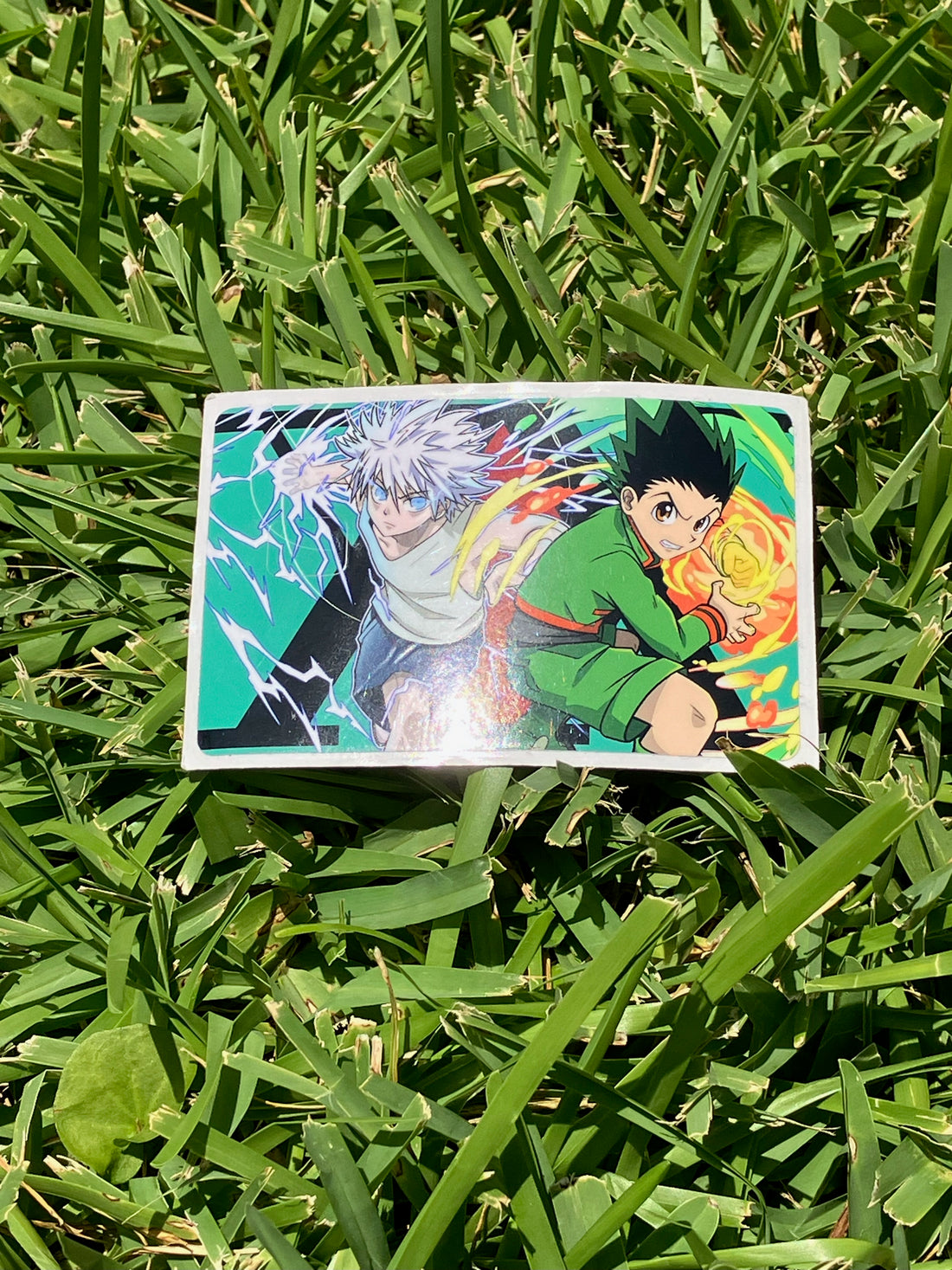 Gon and KIllua Credit Card Skin